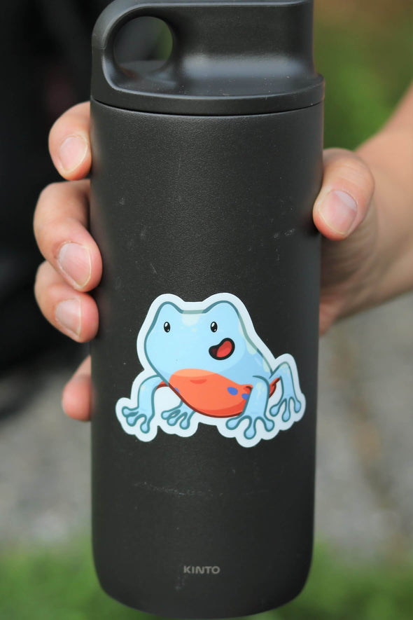 Frog Sticker Gift Idea For Girls Or Boys