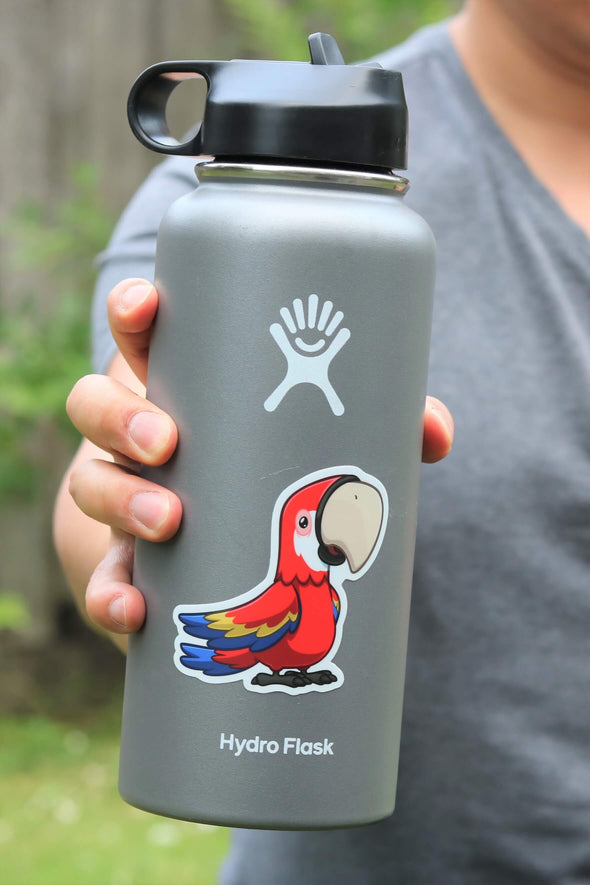 Red Parrot Sticker